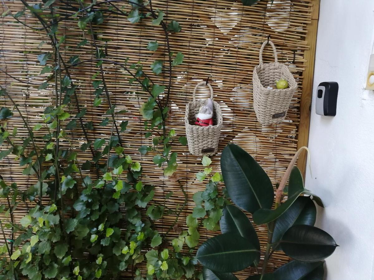 Olga's Cozy Nest , In Ano Korakiana. Apartment
