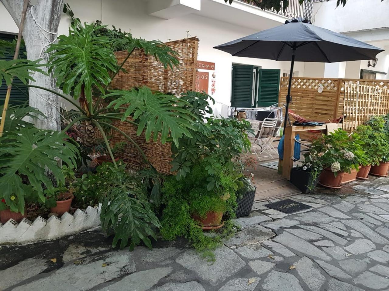 Olga's Cozy Nest , In Ano Korakiana.