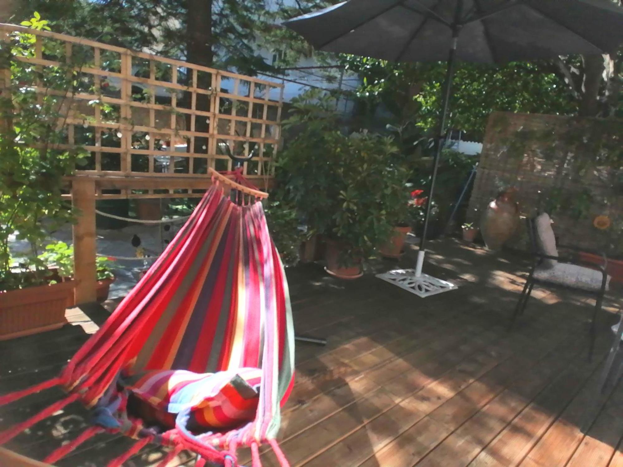 Olga's Cozy Nest , In Ano Korakiana. *