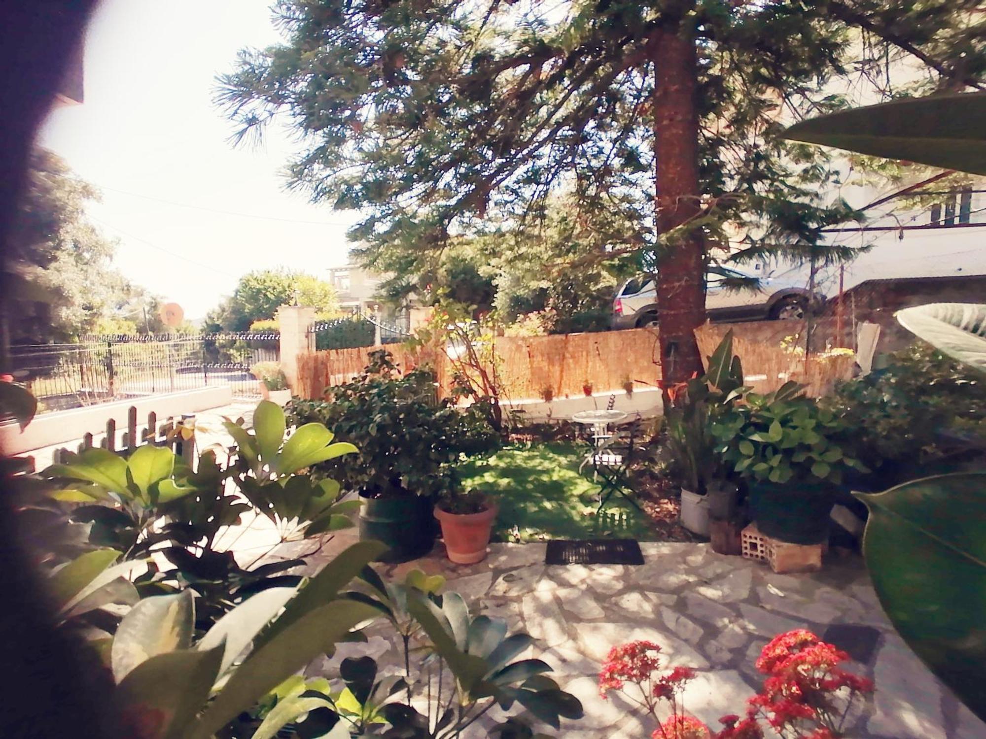 Olga's Cozy Nest , In Ano Korakiana. Apartment *