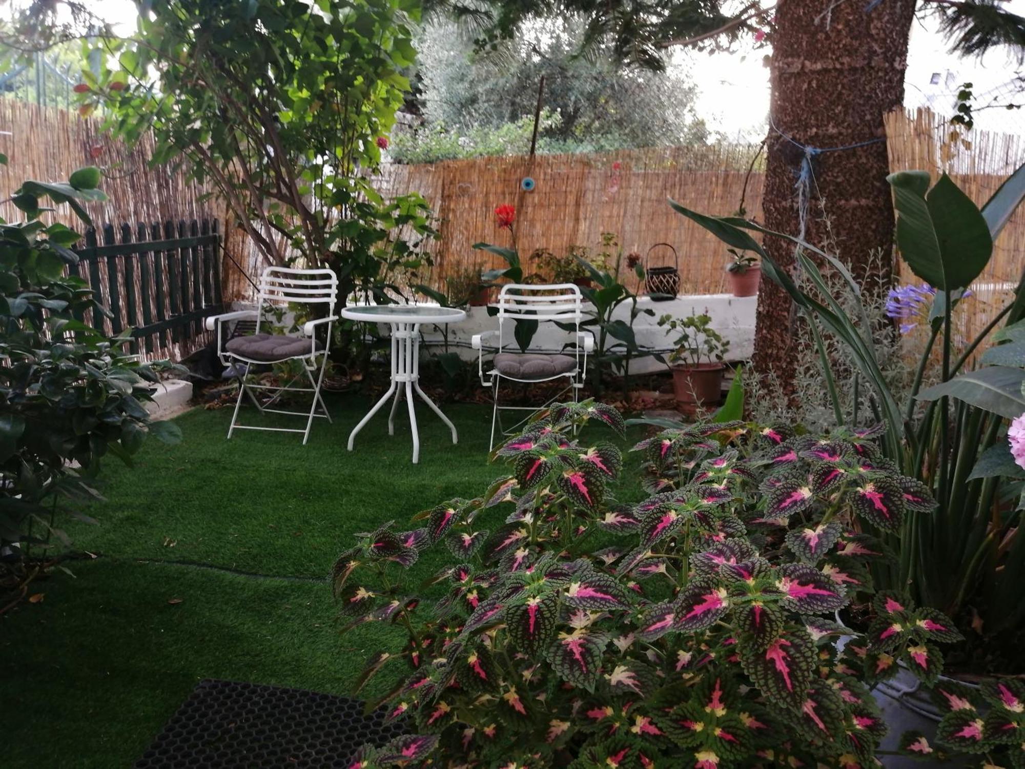 Olga's Cozy Nest , In Ano Korakiana. *